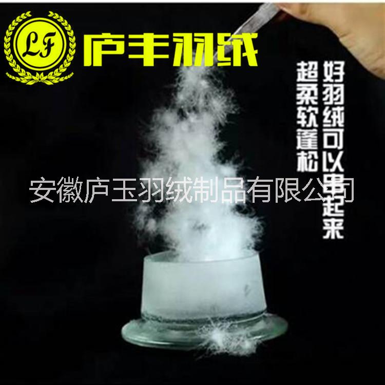 供應(yīng)用于制衣制被的*檢測(cè)羽絨羽毛水洗白鴨絨吊吊絨