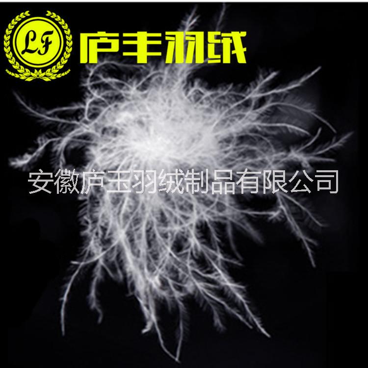 供應用于制衣制被的優(yōu)質大朵95白鵝絨蓬松度*格優(yōu)