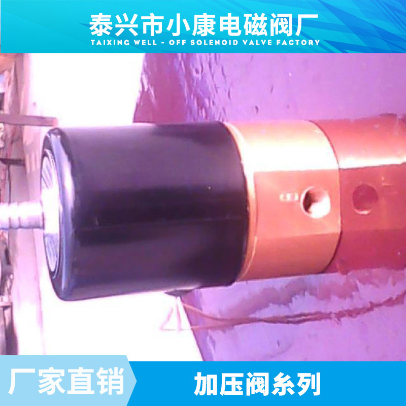 供應(yīng)加壓閥糸列 專業(yè)生產(chǎn)高壓氣囊 廠家直銷加壓閥