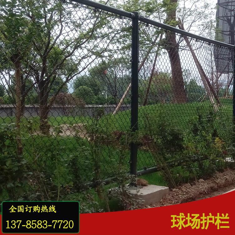 籃球場(chǎng)護(hù)欄/體育場(chǎng)圍欄/四川藍(lán)球場(chǎng)護(hù)欄/四川體育場(chǎng)圍欄/四川體育場(chǎng)圍欄護(hù)欄隔離柵廠家