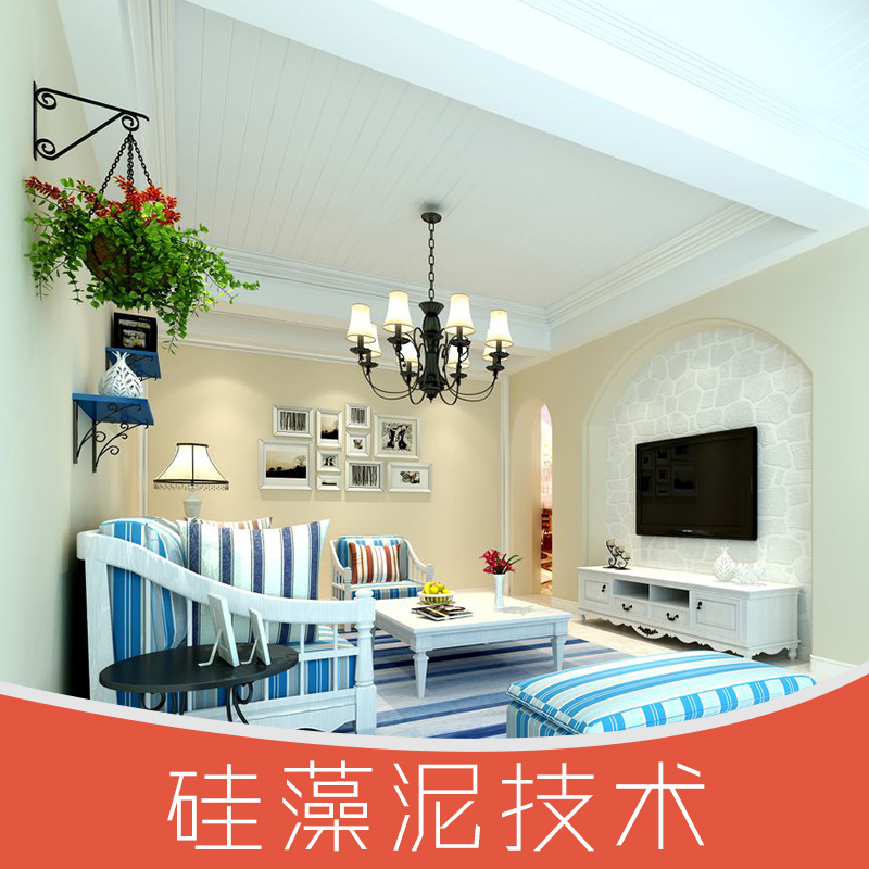 供應硅藻泥技術 無機硅藻泥廠家供應 內墻涂料批發(fā) 硅藻泥涂料價格