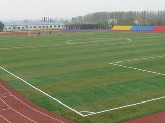 榆林幼兒園草坪哪家價(jià)格低 幼兒園草