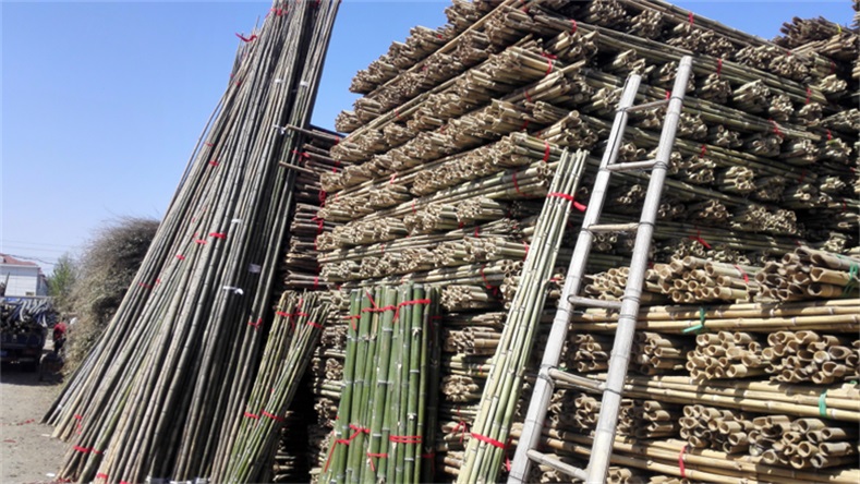 植樹(shù)竹竿批發(fā)北京竹竿竹片批發(fā)市場(chǎng)銷售菜架竹葡萄架竹竹竿竹片竹籬笆枸杞竿