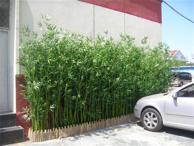 植樹(shù)竹竿批發(fā)北京竹竿竹片批發(fā)市場(chǎng)銷售菜架竹葡萄架竹竹竿竹片竹籬笆枸杞竿