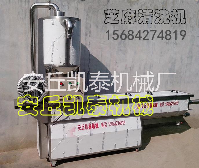供應芝麻清洗機 水洗芝麻機