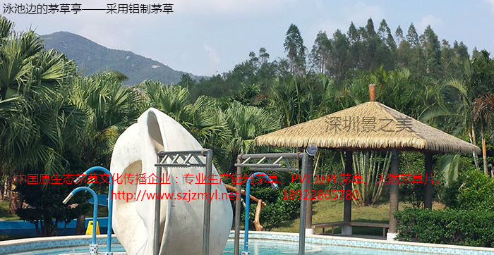 供應(yīng)柳州人造茅草、金屬茅草系列產(chǎn)品