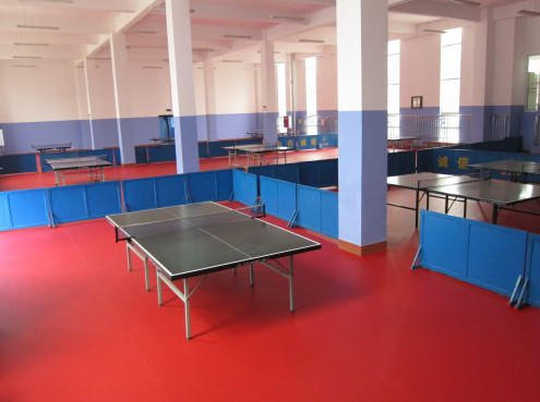 供應(yīng)乒乓球塑膠地板、北京乒乓球館地板、運(yùn)動(dòng)塑膠場(chǎng)地