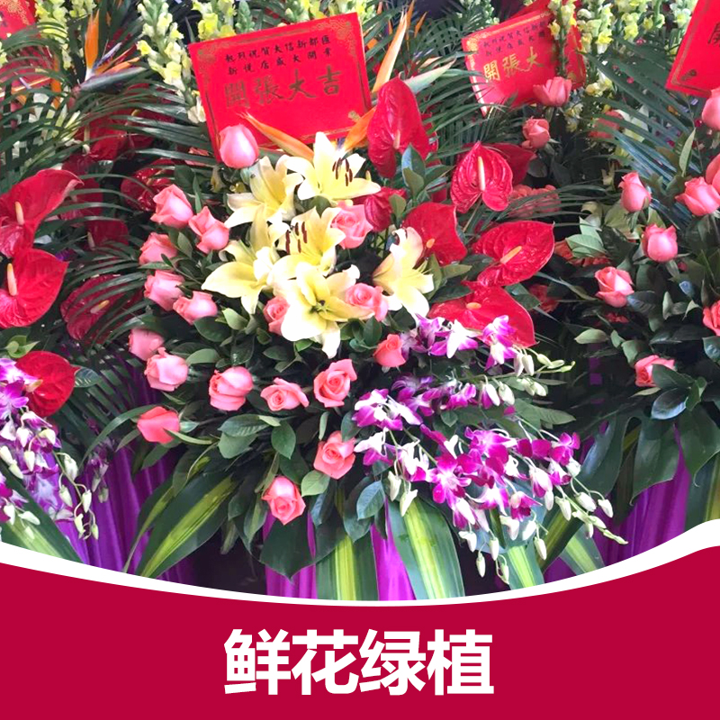 供應(yīng)鮮花綠植  中山策劃鮮花綠植 鮮花綠植布置 中山大型活動(dòng)策劃公司