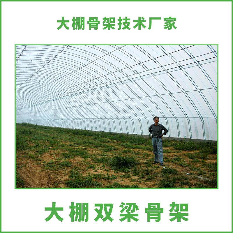 供應(yīng)大棚雙梁骨架 溫室大棚雙梁骨架設(shè)計(jì) 石家莊大棚雙梁骨架