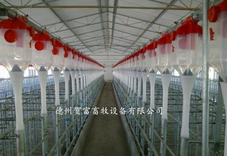 山東養(yǎng)豬料線廠家  養(yǎng)豬料線 豬用自動(dòng)上料設(shè)備 全自動(dòng)上料線