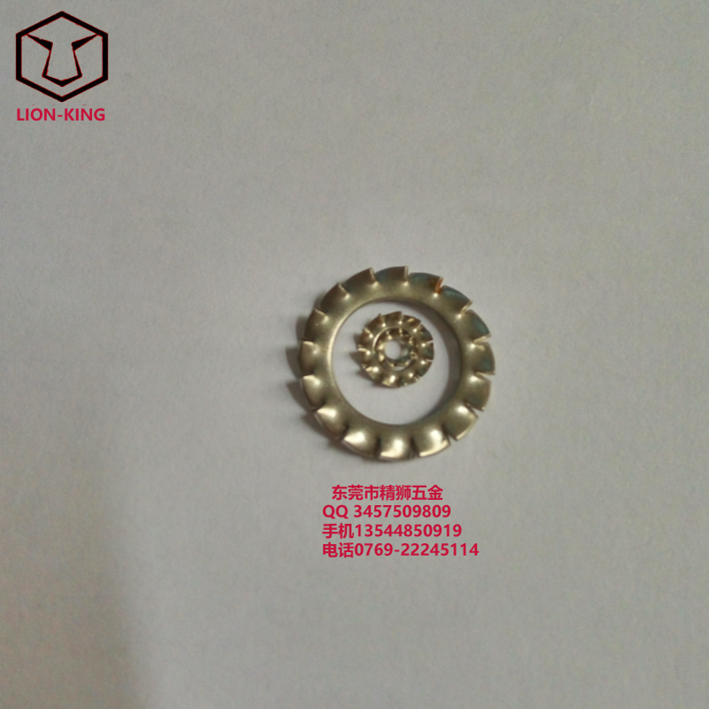 供應(yīng)環(huán)保外鋸齒鎖緊墊圈，不銹鋼外多齒墊圈