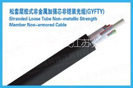 供應GYFTY光纜熱銷