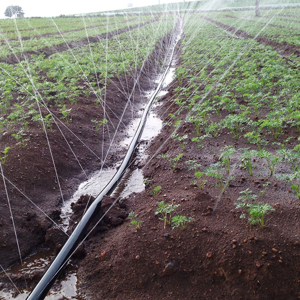 供應(yīng)微噴帶 節(jié)水微噴帶 園林微噴帶 微噴帶廠家 微噴帶直銷