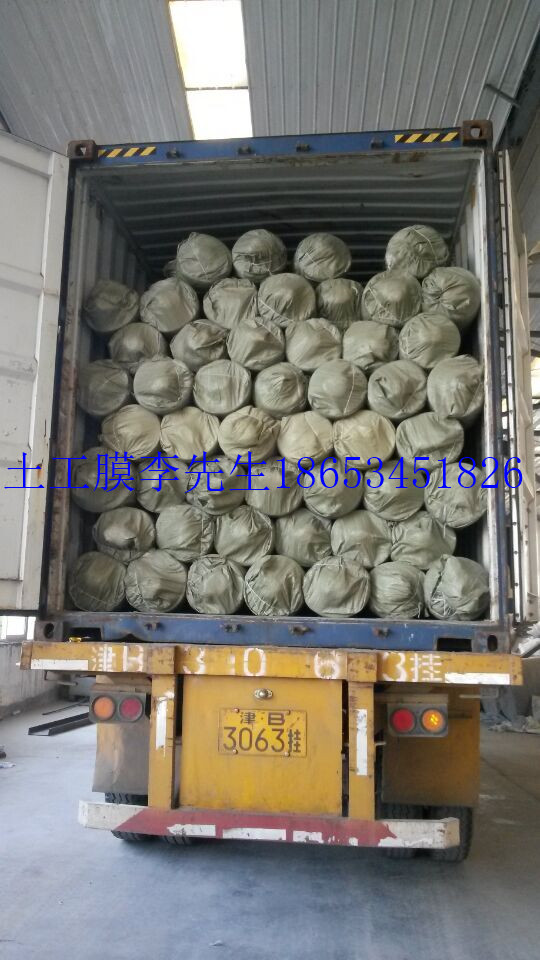 反滲透的HDPE土工膜，HDPE土工膜價(jià)格，優(yōu)質(zhì)HDPE土工膜批發(fā)