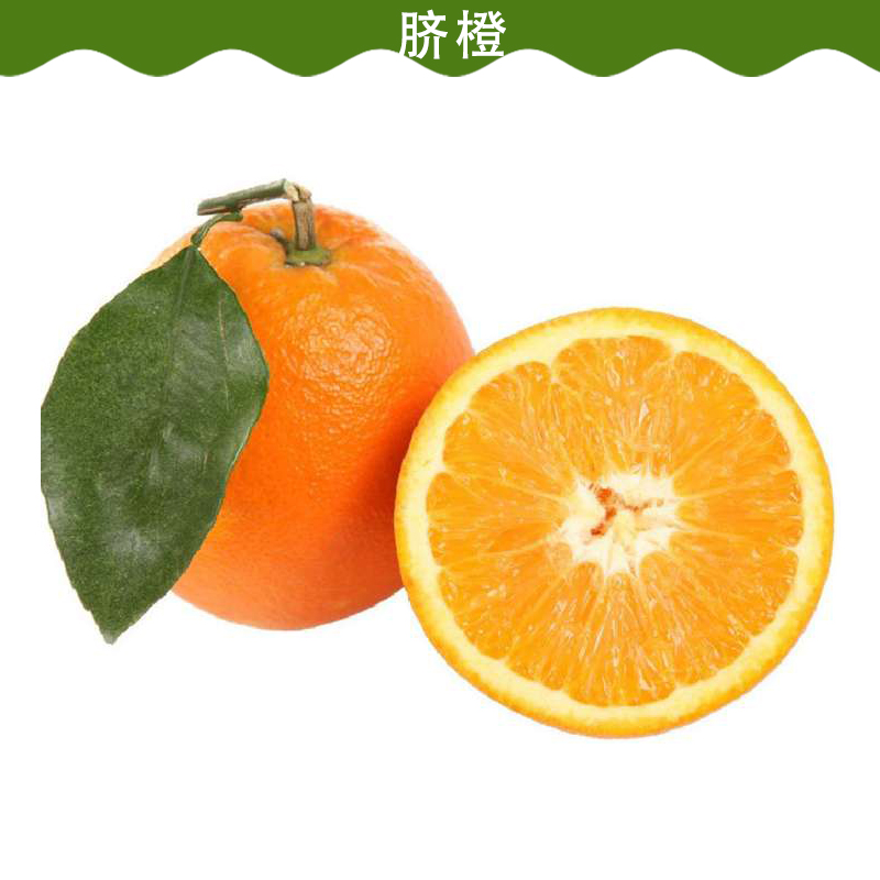 供應(yīng)臍橙 臍橙批發(fā) 臍橙價格 臍橙廠家 臍橙銷售電話 臍橙銷售單位