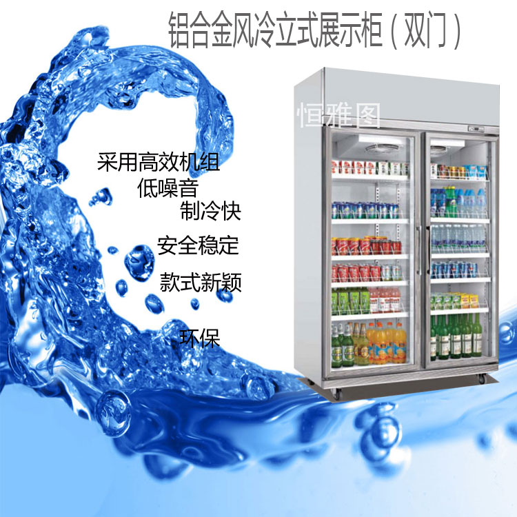供應(yīng)用于冷藏的便利店冷藏柜 飲料展示柜