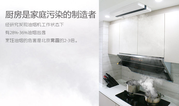 供應(yīng)布朗新風(fēng)系統(tǒng)，壁掛機(jī)，