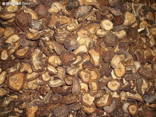 供應(yīng)香菇烘干機(jī)