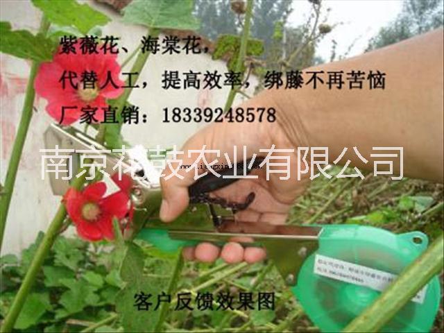 供應(yīng)山東葡萄綁枝卡安徽葡萄綁枝扣子