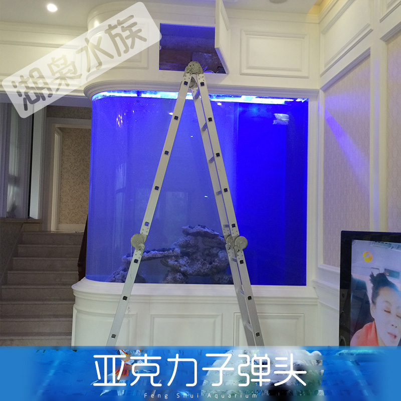 供應(yīng)亞克力*頭 *頭水族箱 大型*頭魚(yú)缸 亞克力*頭生態(tài)魚(yú)缸