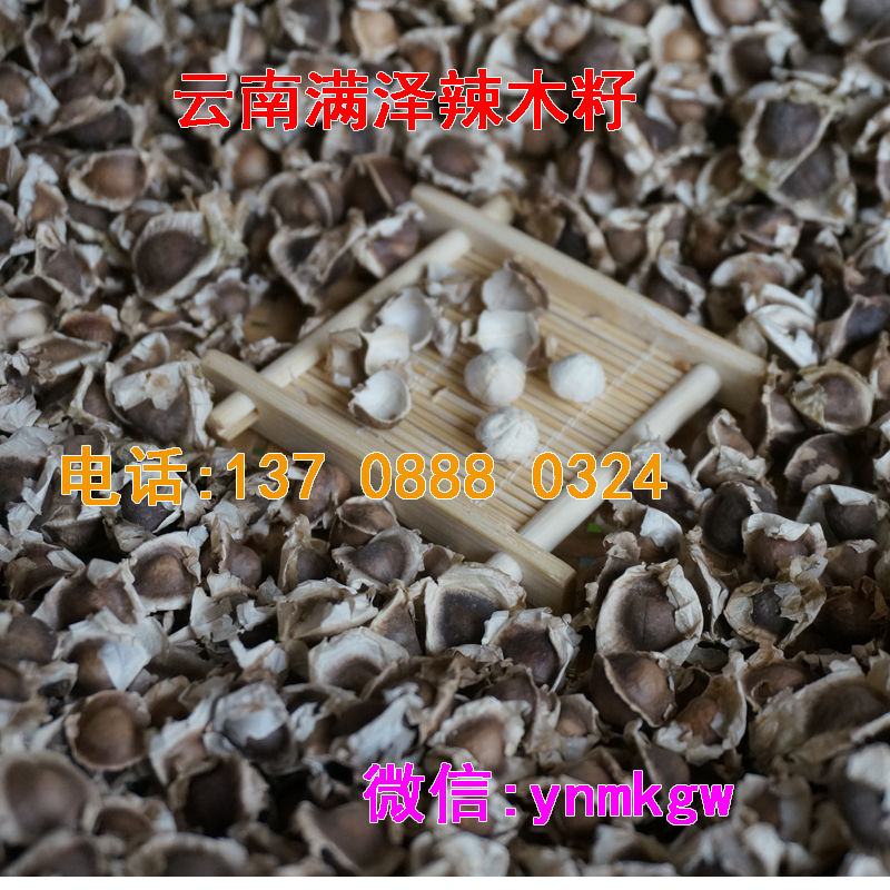 云南滿澤辣木籽，辣木籽的味道，辣木籽的口感，辣木吃后的感覺，吃辣木籽喝水后的感覺，辣木籽多少錢一斤