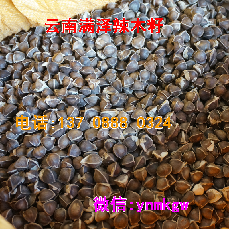 *非洲辣木籽*糖尿病，非洲辣木籽的功效與作用買房子辣木籽批發(fā)價(jià)格，非洲進(jìn)口辣木籽純*辣木籽/辣木種子