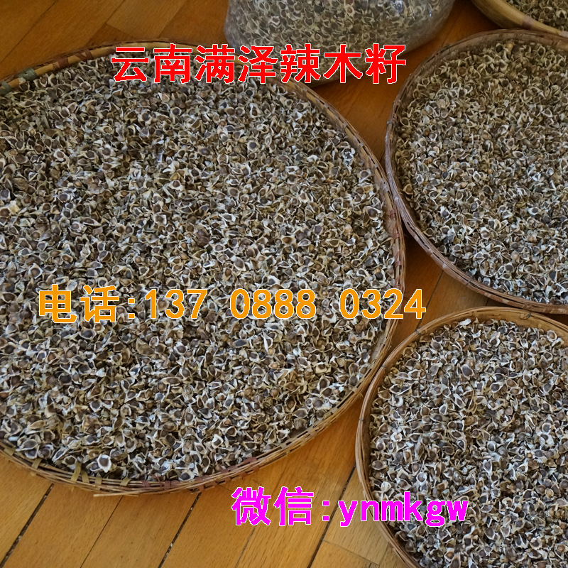 昆明辣木，云南昆明辣木籽專賣店，云南滿澤辣木辣木籽供應(yīng)，昆明辣木籽哪里買，昆明辣木體驗館