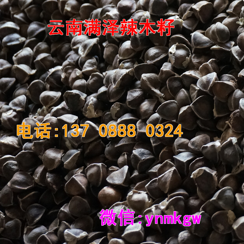 云南滿澤辣木籽*瘦身精選優(yōu)質(zhì)辣木籽，搭配云南滿澤辣木茶*瘦身、辣木籽*降三高