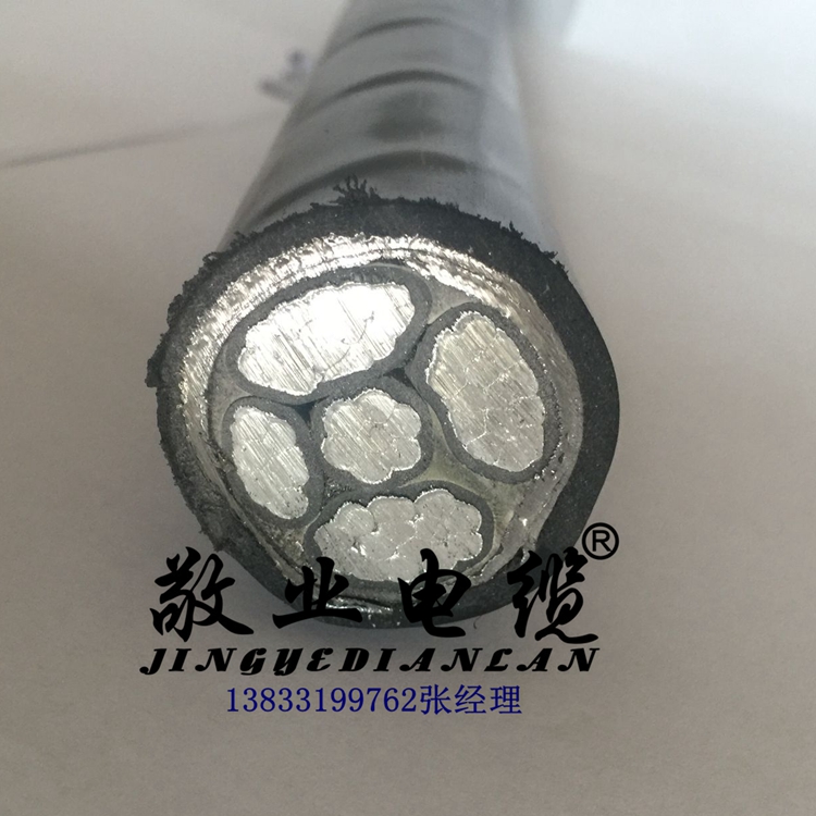 供應(yīng)鎧裝電纜vlv22