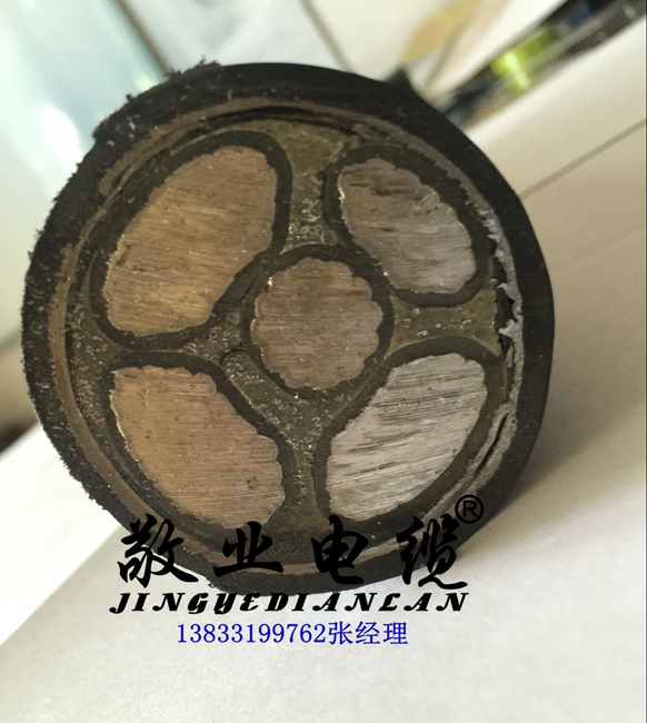 供應(yīng)鎧裝電纜vlv22