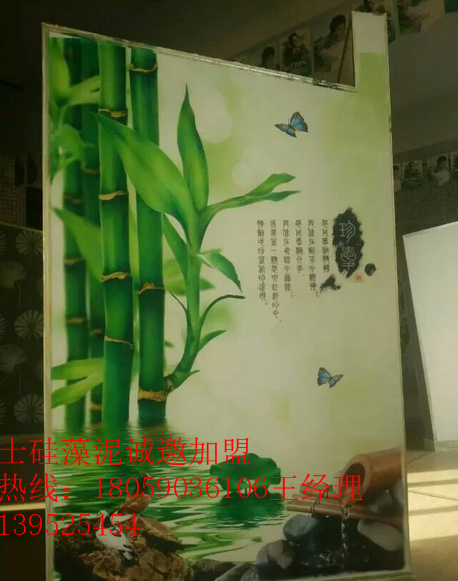 由王寶強(qiáng)*的福州凈衛(wèi)士硅藻泥廠家供應(yīng)用于硅藻泥加盟店需要多少錢｜加盟一家硅藻泥多少錢｜硅藻泥全國(guó)加盟