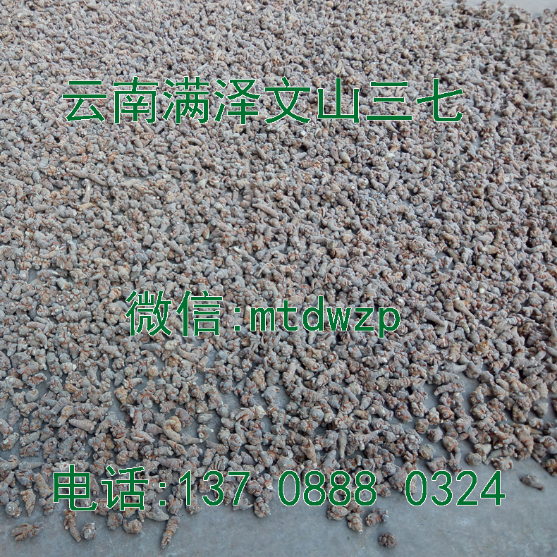 文山三七的作用 文山三七價格變動 文山三七多少錢一斤