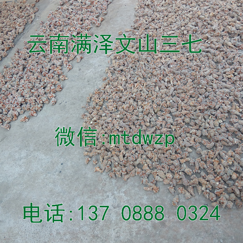 文山三七的作用 文山三七價格變動 文山三七多少錢一斤