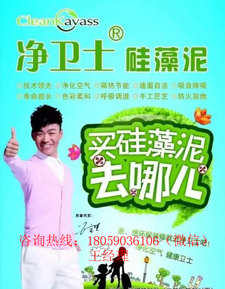 廣州市硅藻泥|荔灣區(qū)硅藻泥|越秀  硅藻泥生產(chǎn)廠家 硅藻泥招商