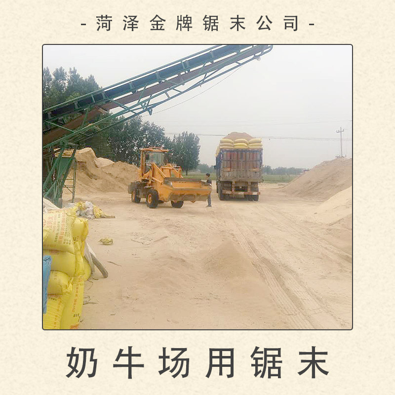 菏澤鋸末公司供應(yīng)奶牛場用鋸末 鋪墊床墊圈墊料鋸末 鋸末木屑顆粒