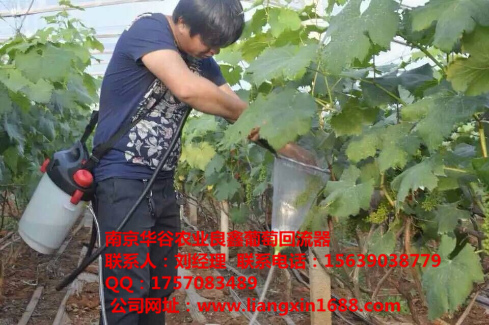 供應葡萄拉穗膨果器藥液回流裝置，葡萄綁枝機，葡萄綁枝卡、獼猴桃綁枝扣子，蔬果剪