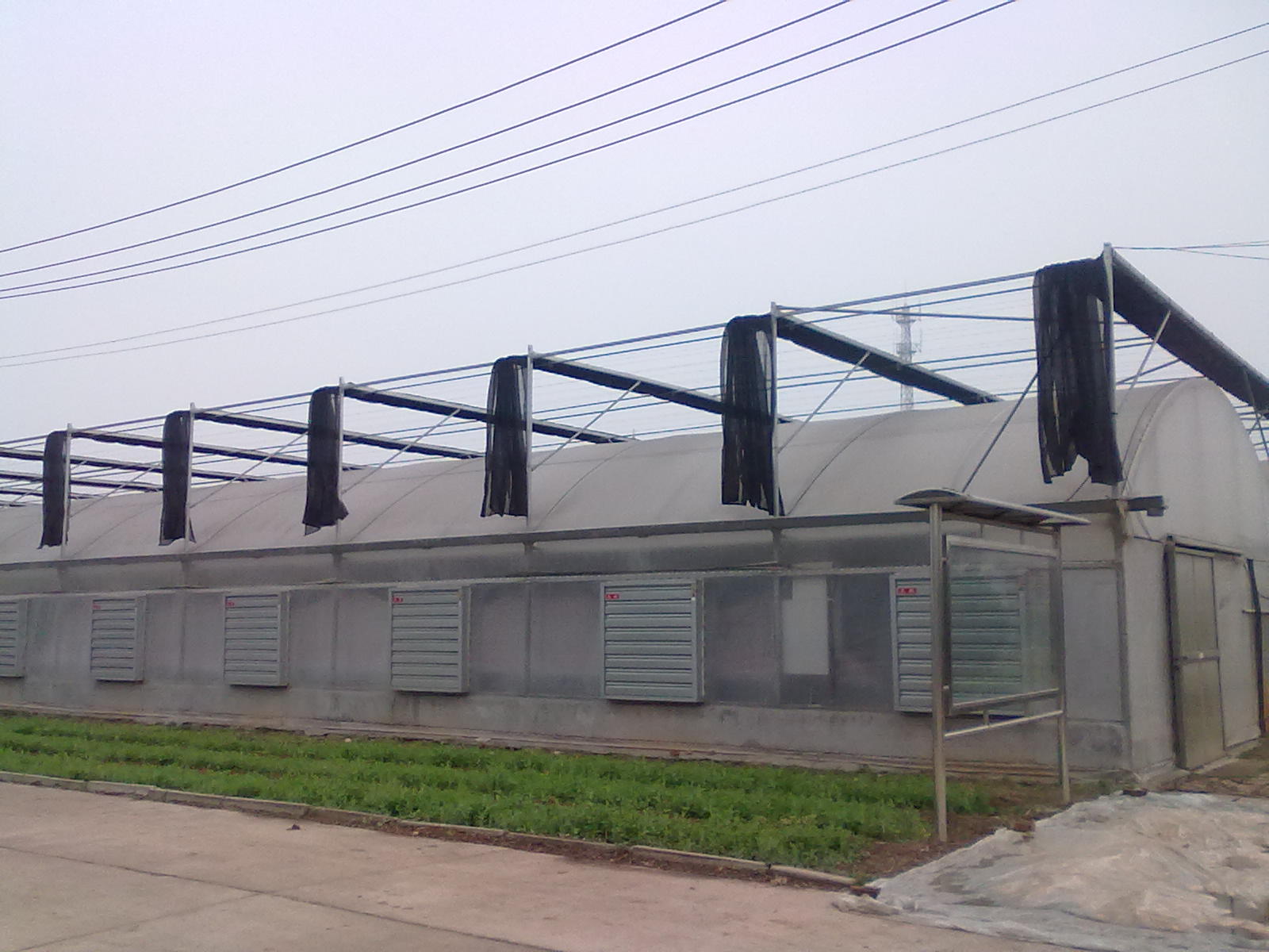 廠家直銷溫室大棚 連棟大棚骨架 連棟棚造價13920286607