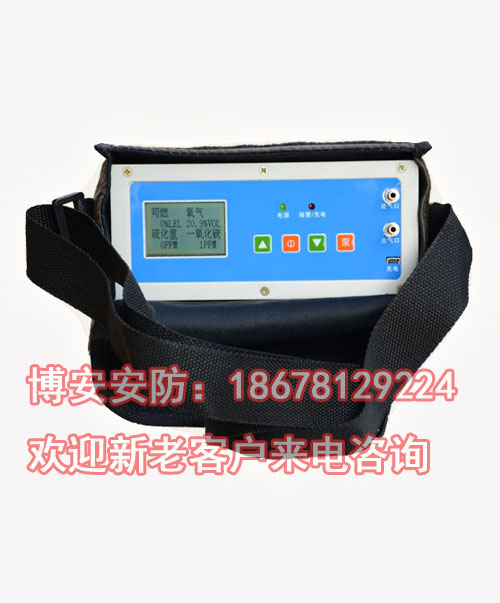 供應(yīng)便攜泵吸式氣體檢測(cè)儀