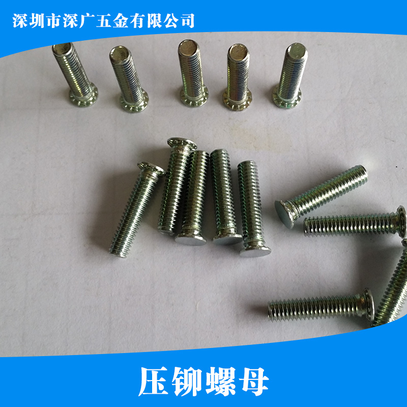 供應(yīng)壓鉚螺母 自扣緊螺母 扣緊螺母 六角壓鉚螺母 鉚螺母