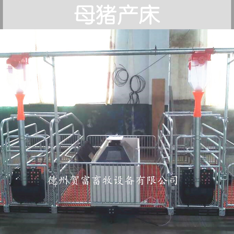 供應(yīng)母豬產(chǎn)床廠家直銷 山東母豬產(chǎn)床供應(yīng)商 母豬產(chǎn)床 單體欄母豬產(chǎn)床