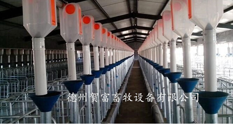 用于豬用料線的豬用料線廠家　豬用自動(dòng)上料設(shè)備