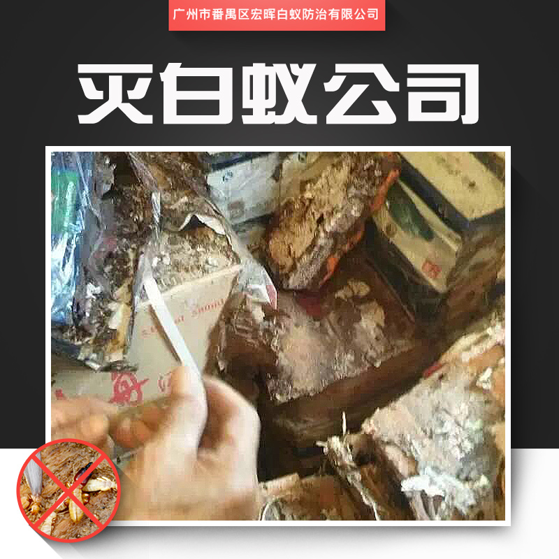 供應(yīng)滅白蟻公司 市橋水庫專業(yè)滅白蟻 番禺區(qū)農(nóng)林作物滅白蟻