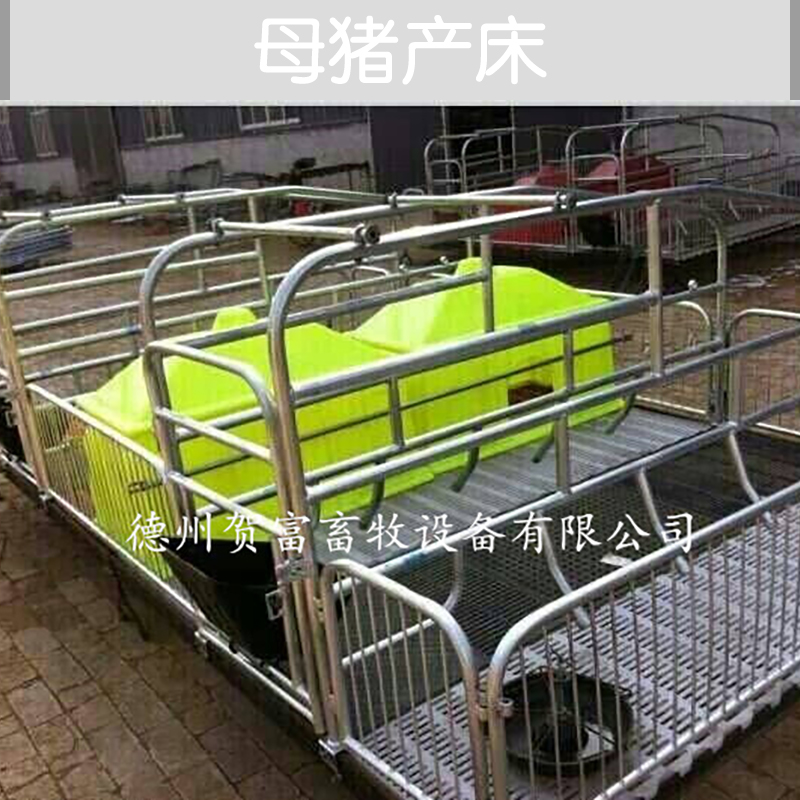 供應(yīng)母豬產(chǎn)床廠家直銷 山東母豬產(chǎn)床供應(yīng)商 母豬產(chǎn)床 單體欄母豬產(chǎn)床