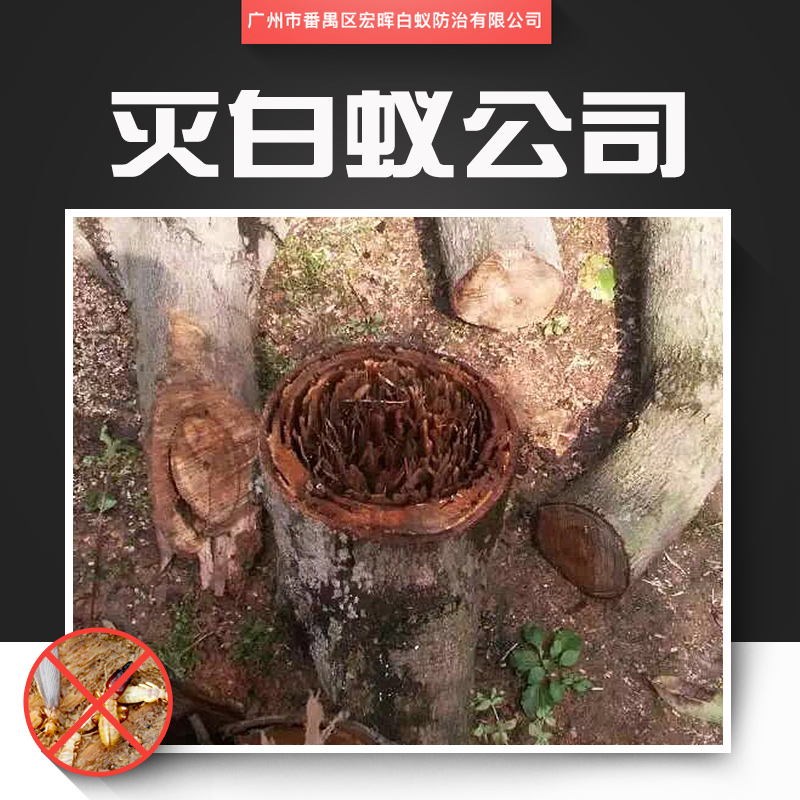 供應(yīng)滅白蟻公司 市橋水庫專業(yè)滅白蟻 番禺區(qū)農(nóng)林作物滅白蟻