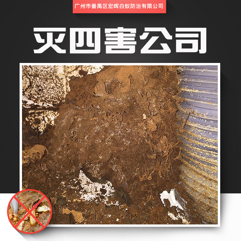 供應(yīng)滅四害公司 番禺區(qū)臭蟲(chóng)消殺工程 鐘村除四害服務(wù) 城市害蟲(chóng)防治工程
