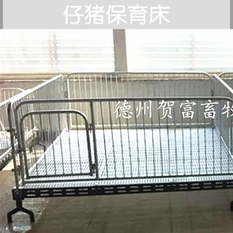 四川仔豬保育床廠家 四川仔豬保育床批發(fā)