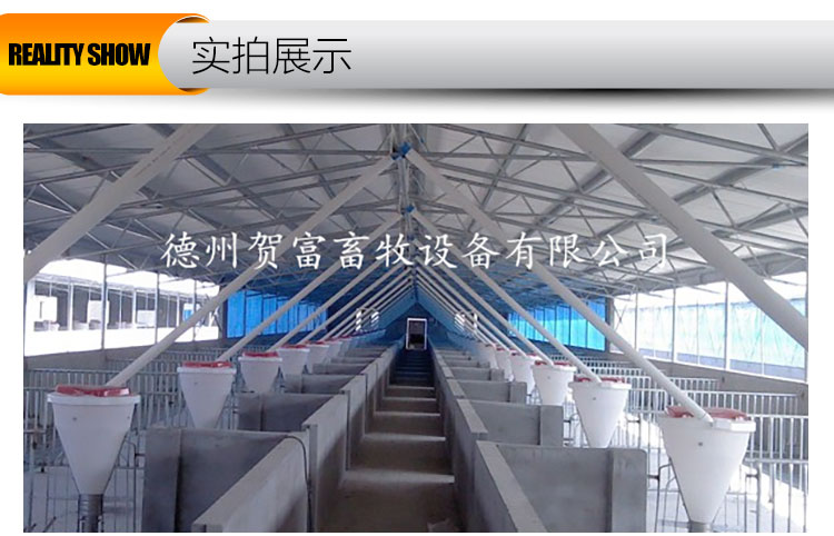 用于豬用料線的豬用料線廠家　豬用自動(dòng)上料設(shè)備