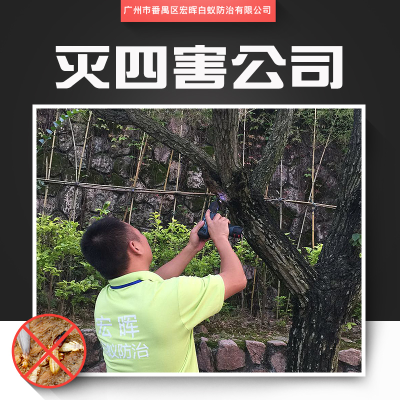 供應(yīng)滅四害公司 番禺區(qū)臭蟲(chóng)消殺工程 鐘村除四害服務(wù) 城市害蟲(chóng)防治工程