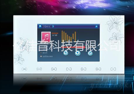 供應(yīng)用于家庭-酒店的家庭背景音樂主機(jī)供應(yīng)酒店-別墅