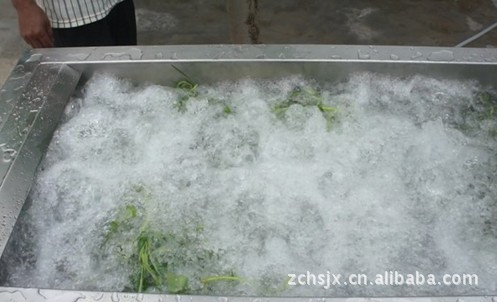 供應(yīng)不銹鋼果蔬氣泡清洗機(jī) 渦流噴淋清洗機(jī)